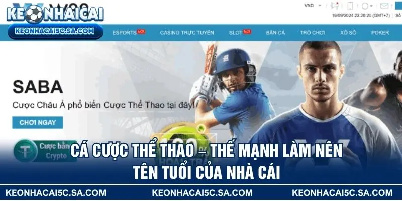 Cá cược thể thao – Thế mạnh làm nên tên tuổi của nhà cái