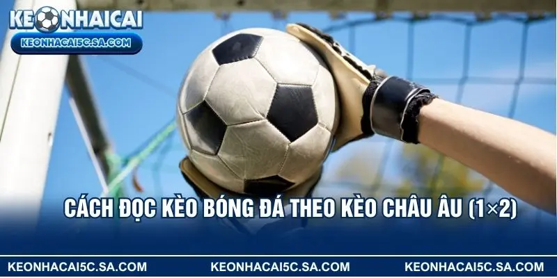 Cách đọc kèo bóng đá theo kèo châu Âu (1×2)