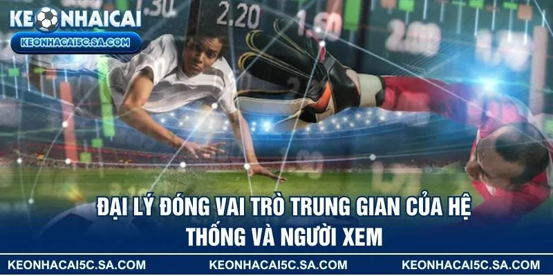 Đại lý đóng vai trò trung gian của hệ thống và người xem