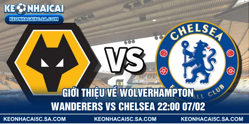 Giới thiệu về Wolverhampton Wanderers vs Chelsea 22:00 07/02