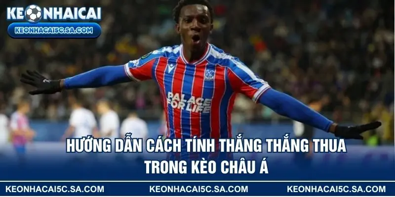 Hướng dẫn cách tính thắng thắng thua trong kèo Châu Á