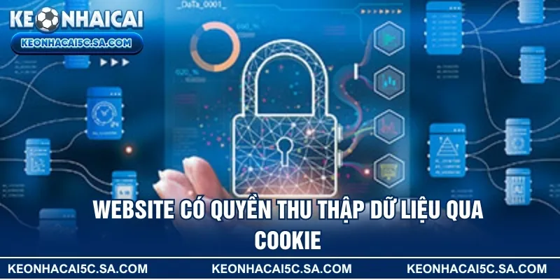 Website có quyền thu thập dữ liệu qua cookie